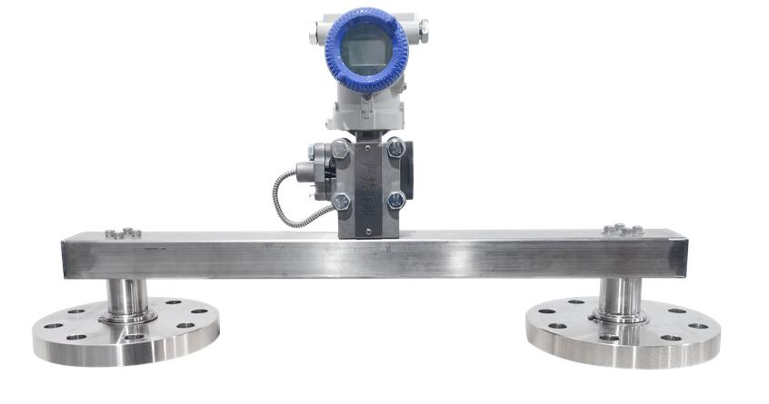 Online differential pressure density gauge